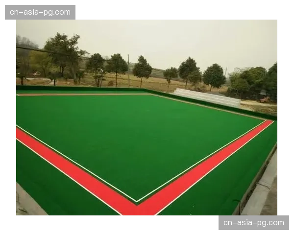 深度报道:人造草皮技术革新如何影响全球基层曲棍球发展 深度报道:人造草皮技术革新如何影响全球基层曲棍球发展